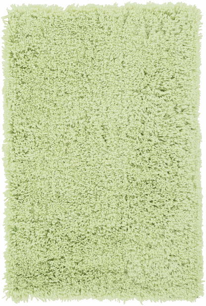 Lincolnton 2x3 small Carpet