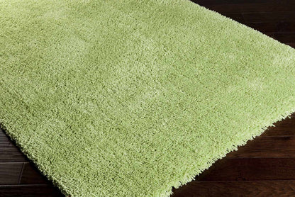 Lincolnton 2x3 small Carpet